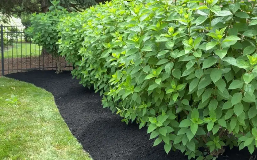 Lawn Care Services, Cincinnati, OH