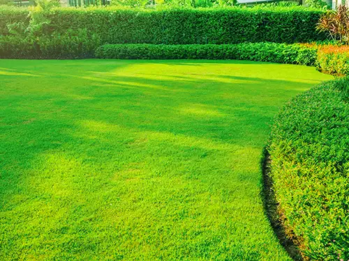 Bush & Shrub Care, Cincinnati, OH