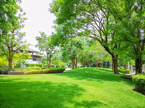 Lawn Maintenance, Cincinnati, OH