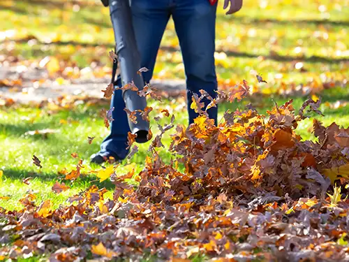 Leaf Removal, Cincinnati, OH