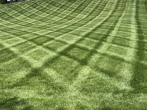 Mowing, Cincinnati, OH