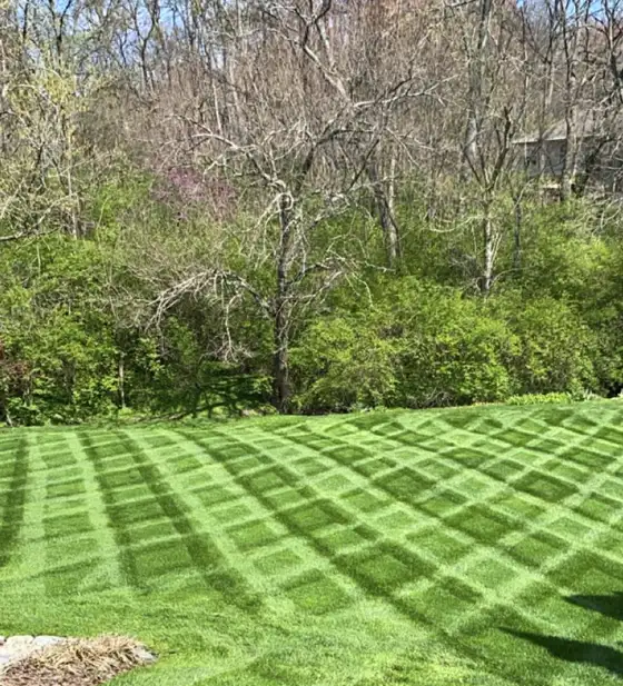 Lawn Mowing, Cincinnati, OH